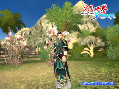 法师军衔装备 - 飘逸中的《完美》神采 · 配图